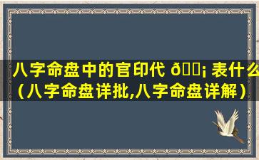 八字命盘中的官印代 🐡 表什么（八字命盘详批,八字命盘详解）